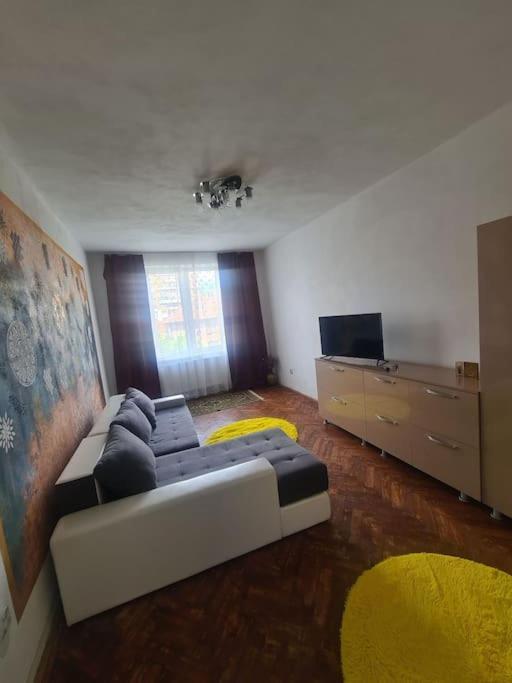 Mural Art Apartament เปโตรชานิ ภายนอก รูปภาพ